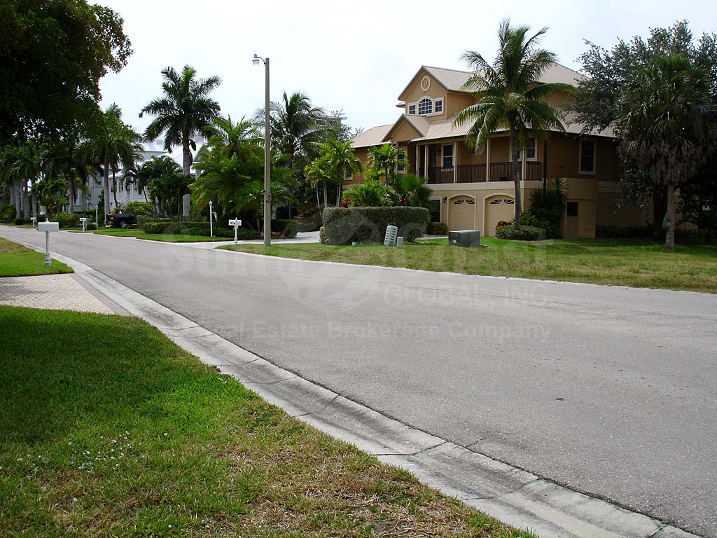 Dolphin Cove Street View